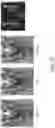 Fig. 13 - Intelligent denoising