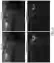 Fig. 17 - Intelligent denoising
