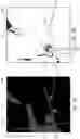 Fig. 06 - Intensity thresholding-based image modification for computer vision