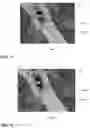 Fig. 04 - Method of processing an EDX/XRF map and a corresponding image processing device