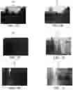 Fig. 08 - Methods, systems, and program products for generating altered images based on ON-OFF visual pathway information