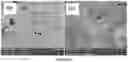 Fig. 30 - Experimental set up for studying temperature gradient driven cracking