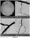 Fig. 31 - Experimental set up for studying temperature gradient driven cracking