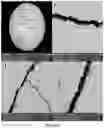 Fig. 33 - Experimental set up for studying temperature gradient driven cracking