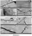 Fig. 34 - Experimental set up for studying temperature gradient driven cracking