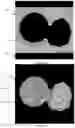 Fig. 10 - METHOD AND SYSTEM FOR SELECTING EMBRYOS