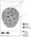 Fig. 01 - System for obtaining useful data for analysis of body morphometry and associated method