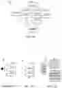 Fig. 05 - Systems and methods for automated image analysis