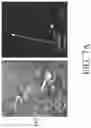 Fig. 09 - Systems and methods for transparent object segmentation using polarization cues