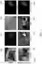 Fig. 15 - Systems and methods for transparent object segmentation using polarization cues