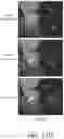 Fig. 19 - Systems and methods for transparent object segmentation using polarization cues