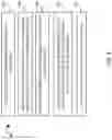 Fig. 11 - DETERMINING POSITION OF AN IMAGE CAPTURE DEVICE