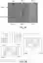 Fig. 09 - Deep learning systems and methods of removal of truncation artifacts in magnetic resonance images