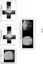 Fig. 07 - Learning 2D texture mapping in volumetric neural rendering