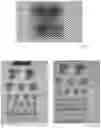 Fig. 06 - Light field display and vibrating light field shaping layer and vision testing and/or correction device