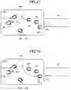 Fig. 12 - Management system of work site and management method of work site