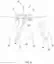 Fig. 06 - Aircraft excursion report