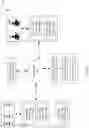 Fig. 02 - SYSTEM AND METHOD FOR DETERMINING REAL-TIME ENGAGEMENT SCORES IN INTERACTIVE ONLINE LEARNING SESSIONS