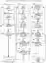 Fig. 05 - Trading Psychology Development