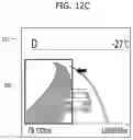 Fig. 16 - Driving environment display device for vehicles and method of controlling the same