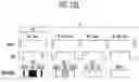 Fig. 35 - Display device