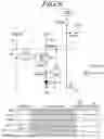Fig. 09 - Driving circuit and display device