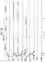 Fig. 11 - Scan driver and driving method thereof