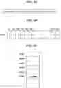 Fig. 05 - Memory device and read/write method of memory device