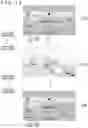 Fig. 13 - Image generation apparatus and image generation method