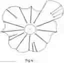 Fig. 07 - Multi tone cymbal