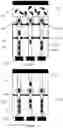 Fig. 05 - Memory device