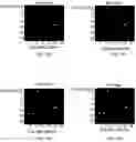 Fig. 07 - Stable memory cell identification for hardware security