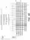 Fig. 08 - Matching patterns in memory arrays