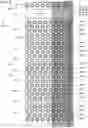 Fig. 06 - Semiconductor memory device