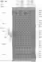 Fig. 23 - Semiconductor memory device