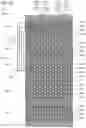 Fig. 32 - Semiconductor memory device