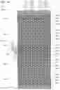 Fig. 33 - Semiconductor memory device