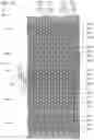Fig. 36 - Semiconductor memory device