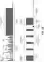 Fig. 17 - Smart sampling for block family scan