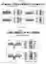 Fig. 05 - COMPREHENSIVE DETECTION OF SINGLE CELL GENETIC STRUCTURAL VARIATIONS