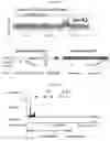Fig. 17 - COMPREHENSIVE DETECTION OF SINGLE CELL GENETIC STRUCTURAL VARIATIONS