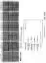Fig. 101 - METHOD AND SYSTEMS FOR PREDICTION OF HLA CLASS II-SPECIFIC EPITOPES AND CHARACTERIZATION OF CD4+ T CELLS