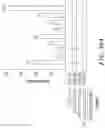 Fig. 108 - METHOD AND SYSTEMS FOR PREDICTION OF HLA CLASS II-SPECIFIC EPITOPES AND CHARACTERIZATION OF CD4+ T CELLS