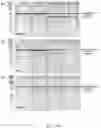 Fig. 21 - METHOD AND SYSTEMS FOR PREDICTION OF HLA CLASS II-SPECIFIC EPITOPES AND CHARACTERIZATION OF CD4+ T CELLS