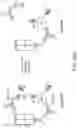 Fig. 54 - METHOD AND SYSTEMS FOR PREDICTION OF HLA CLASS II-SPECIFIC EPITOPES AND CHARACTERIZATION OF CD4+ T CELLS