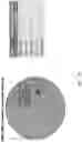 Fig. 62 - METHOD AND SYSTEMS FOR PREDICTION OF HLA CLASS II-SPECIFIC EPITOPES AND CHARACTERIZATION OF CD4+ T CELLS