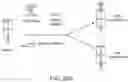 Fig. 65 - METHOD AND SYSTEMS FOR PREDICTION OF HLA CLASS II-SPECIFIC EPITOPES AND CHARACTERIZATION OF CD4+ T CELLS