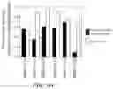 Fig. 79 - METHOD AND SYSTEMS FOR PREDICTION OF HLA CLASS II-SPECIFIC EPITOPES AND CHARACTERIZATION OF CD4+ T CELLS