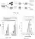 Fig. 83 - METHOD AND SYSTEMS FOR PREDICTION OF HLA CLASS II-SPECIFIC EPITOPES AND CHARACTERIZATION OF CD4+ T CELLS
