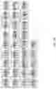 Fig. 98 - METHOD AND SYSTEMS FOR PREDICTION OF HLA CLASS II-SPECIFIC EPITOPES AND CHARACTERIZATION OF CD4+ T CELLS